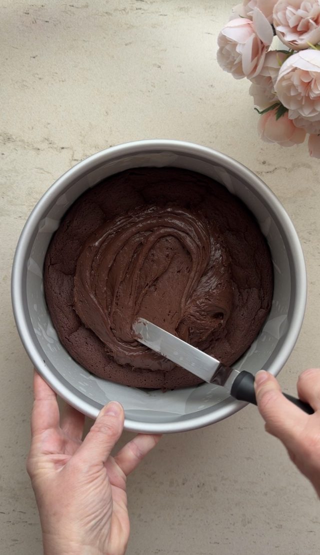 MOELLEUX AU CHOCOLAT. AROMA DE CHOCOLATE