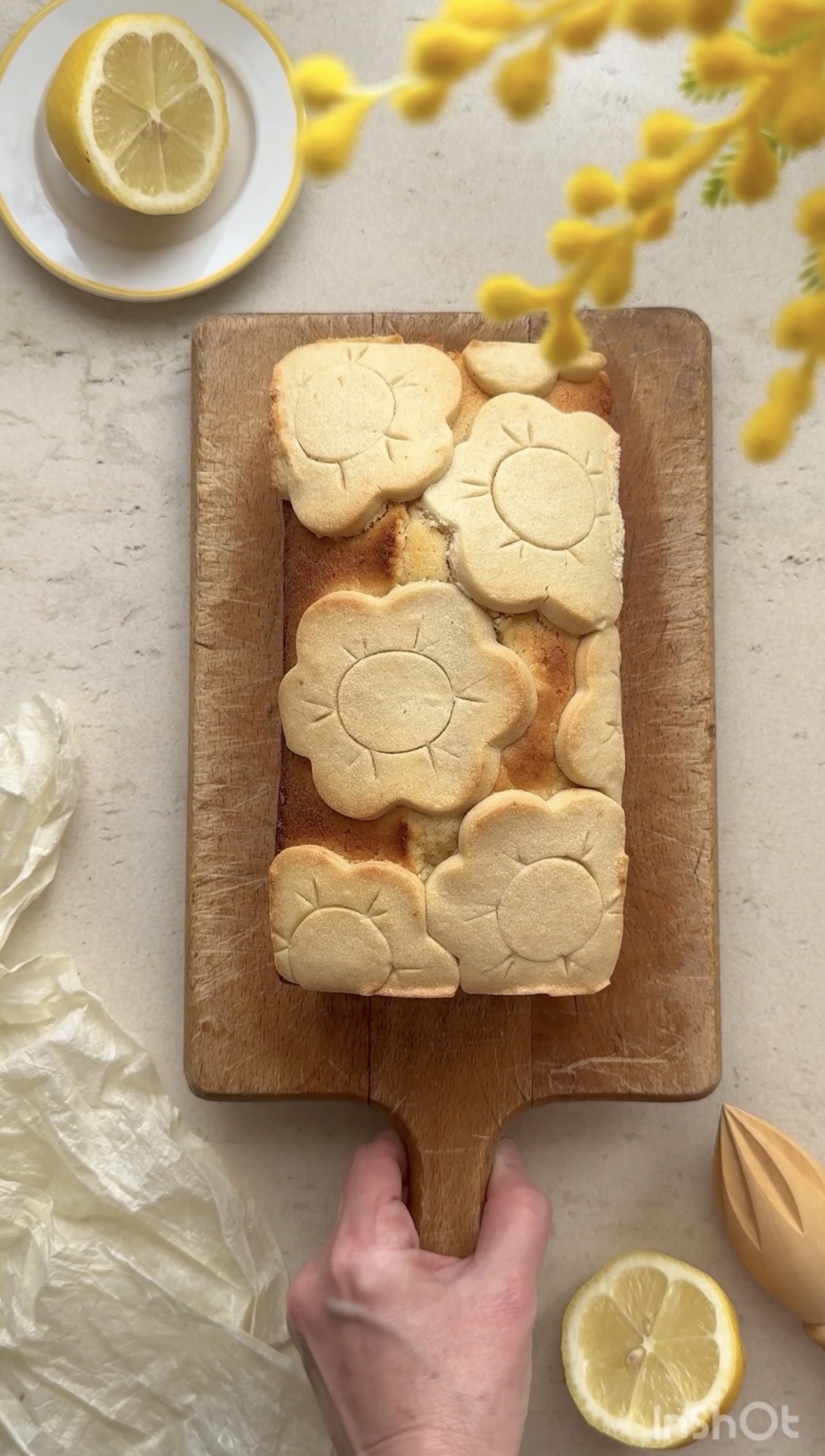 BIZCOCHO FLOREADO DE LIMÓN. AROMA DE CHOCOLATE